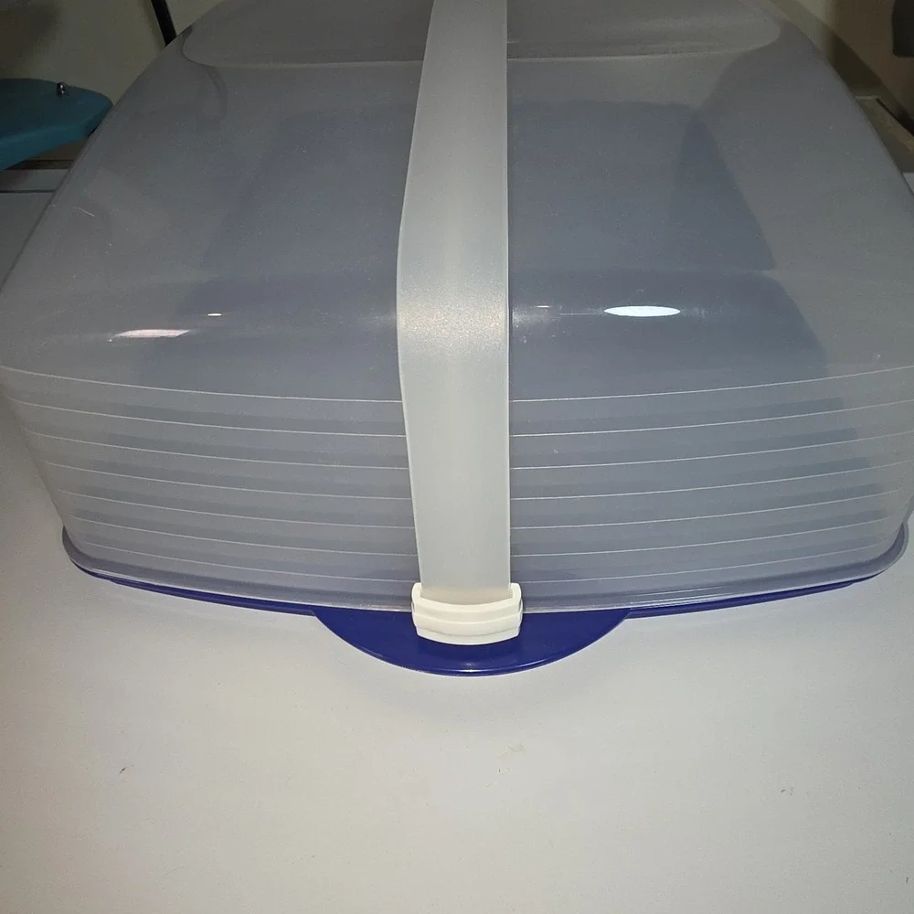 Tupperware Bake N Take Cake Cupcake Rectangle‎ Taker Carrier Blue Clear in EUC